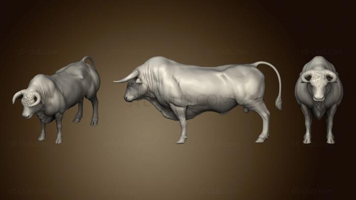 3D model bull 43 (STL)